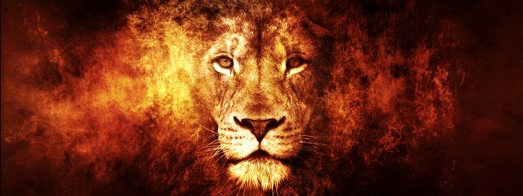 Le lion de Judah