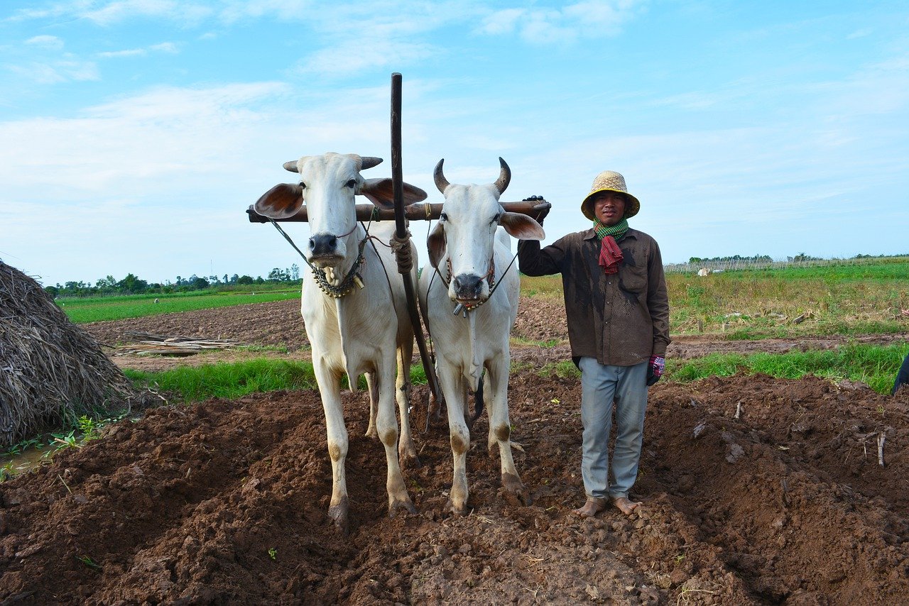 un ouvrier agricole, sujet de cette mishna