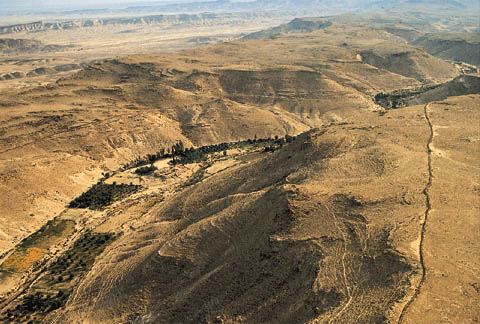 photo de l'oasis de Kadesh Barnea