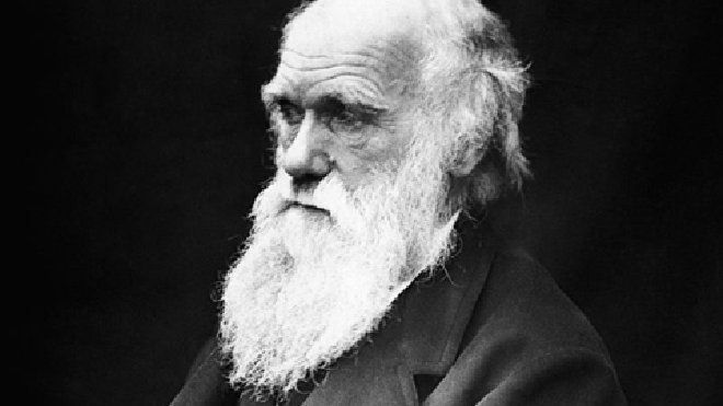 Darwin, auteur d'une théorie non réfutable